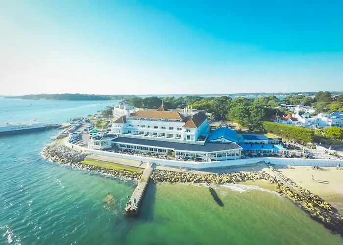 Discover the Best Dog-Friendly Hotels in Poole for a Memorable Stay