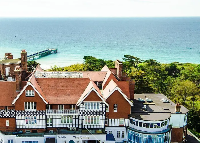 Discover Bournemouth's Best Pet-Friendly Hotels for You and Your Furry Friend